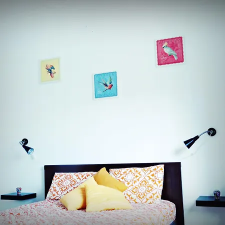 Residencia Praia Norte - Al 4*