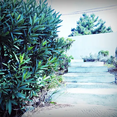 Residencia Praia Norte - Al