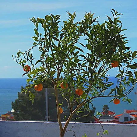 Guest house Residencia Praia Norte - Al Nazare